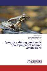 Apoptosis during embryonic development of anuran amphibians