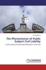 The Phenomenon of Public Subject Civil Liability