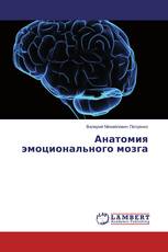 Анатомия эмоционального мозга