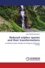 Reduced sulphur species and their transformations