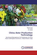 China Aster Production Technology