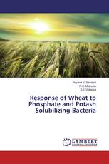 Response of Wheat to Phosphate and Potash Solubilizing Bacteria