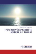 From Real Vector Spaces to Modules in 7 Lessons