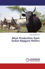 Meat Production from Sudan Baggara Heifers