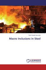 Macro Inclusions in Steel