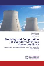 Modeling and Computation of Boundary Layer Free Convective Flows