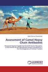Assessment of Camel Heavy Chain Antibodies