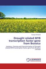Drought related MYB transcription factor gene from Brassica