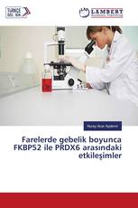 Farelerde gebelik boyunca FKBP52 ile PRDX6 arasındaki etkileşimler