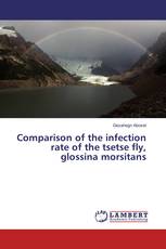 Comparison of the infection rate of the tsetse fly, glossina morsitans