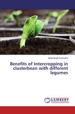 Benefits of Intercropping in clusterbean with different legumes