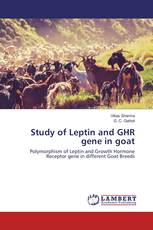 Study of Leptin and GHR gene in goat