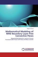 Mathematical Modeling of MHD Boundary Layer Free Convective Flows