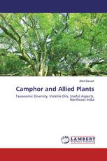 Camphor and Allied Plants