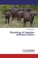 Physiology of Egyptian buffaloes heifers