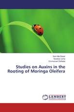 Studies on Auxins in the Rooting of Moringa Oleifera