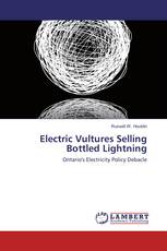 Electric Vultures Selling Bottled Lightning