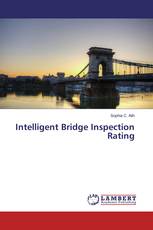 Intelligent Bridge Inspection Rating