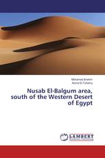 Nusab El-Balgum area, south of the Western Desert of Egypt