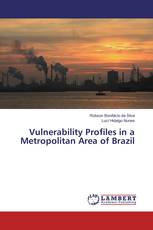 Vulnerability Profiles in a Metropolitan Area of Brazil