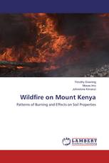 Wildfire on Mount Kenya