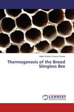 Thermogenesis of the Brood Stingless Bee