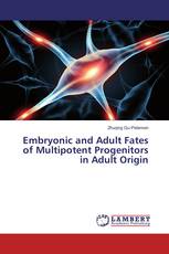 Embryonic and Adult Fates of Multipotent Progenitors in Adult Origin