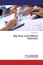 Big Data and Official Statistics