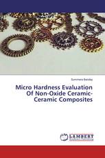 Micro Hardness Evaluation Of Non-Oxide Ceramic-Ceramic Composites