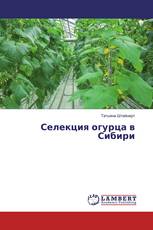 Селекция огурца в Сибири