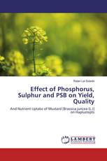 Effect of Phosphorus, Sulphur and PSB on Yield, Quality