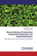 Nanocellulose Production Using Plant Biomass: Its Implementation