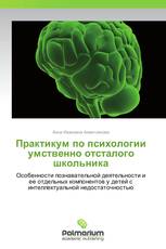 Практикум по психологии умственно отсталого школьника