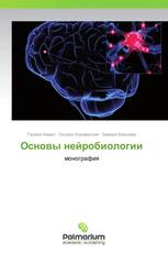 Основы нейробиологии
