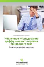 Численное исследование диффузионного горения природного газа