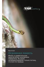 Огромная память