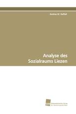 Analyse des Sozialraums Liezen