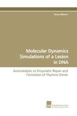 Molecular Dynamics Simulations of a Lesion in DNA