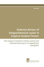 External drivers of biogeochemical cycles in tropical Andean forest: