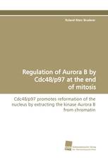 Regulation of Aurora B by Cdc48/p97 at the end of mitosis