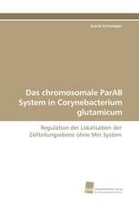 Das chromosomale ParAB System in Corynebacterium glutamicum