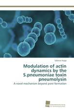 Modulation of actin dynamics by the S.pneumoniae toxin pneumolysin