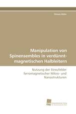 Manipulation von Spinensembles in verdünnt-magnetischen Halbleitern