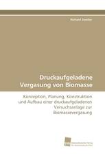 Druckaufgeladene Vergasung von Biomasse