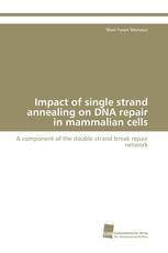 Impact of single strand annealing on DNA repair in mammalian cells
