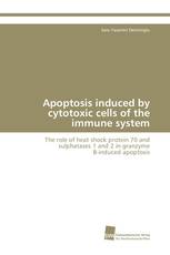 Apoptosis induced by cytotoxic cells of the immune system