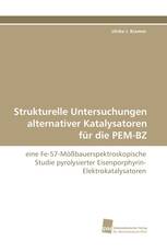 Strukturelle Untersuchungen alternativer Katalysatoren für die PEM-BZ