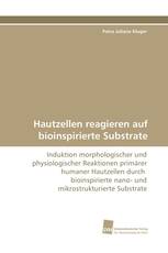 Hautzellen reagieren auf bioinspirierte Substrate