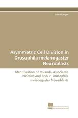 Asymmetric Cell Division in Drosophila melanogaster Neuroblasts