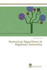 Numerical Algorithms in Algebraic Geometry